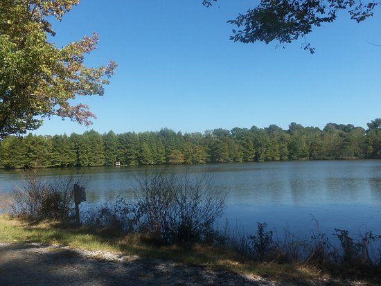 Bogue Chitto National Wildlife Refuge